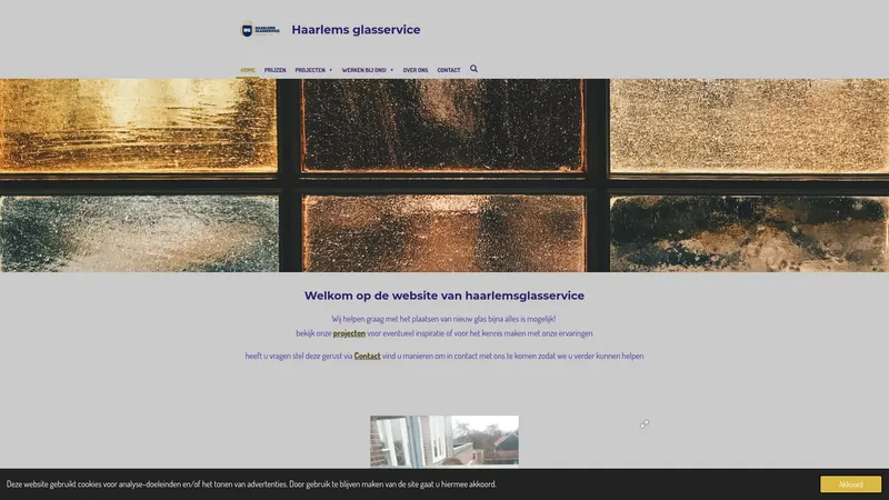 Website van Haarlems glasservice
